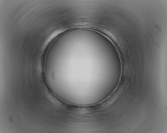 X0000114121458200910191713