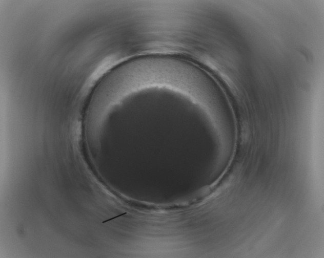 X0000114121459200910191713