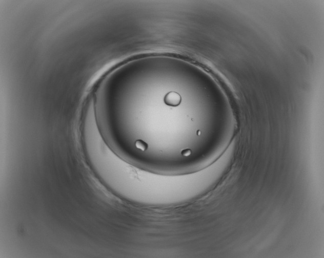 X0000114121460200910191713