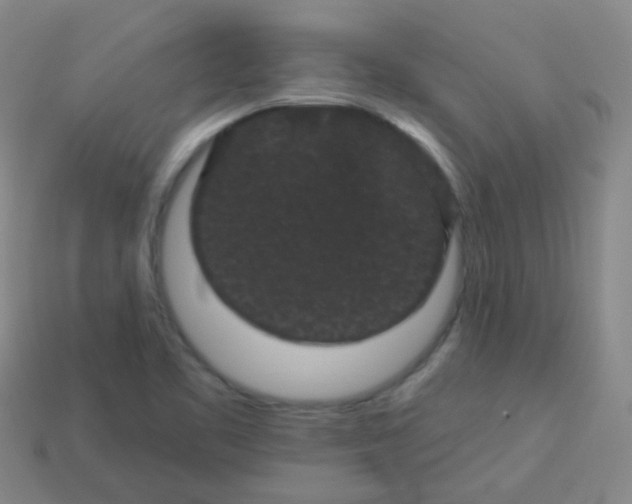 X0000114121461200910191713