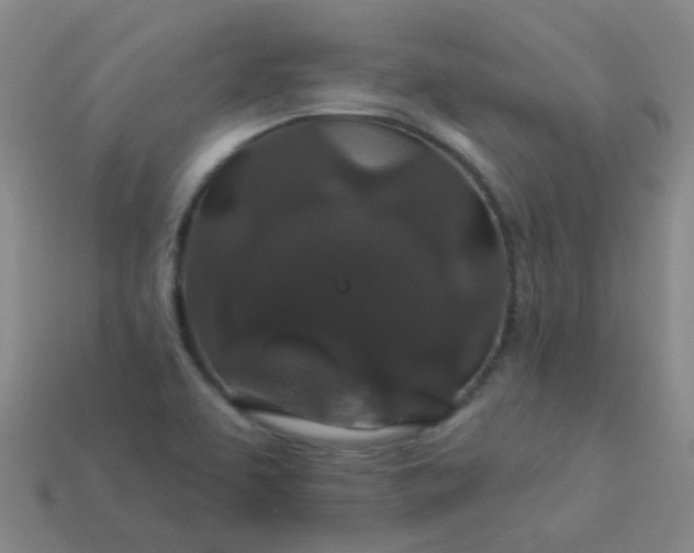 X0000114121463200910191713