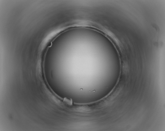 X0000114121464200910191713