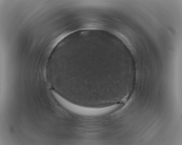 X0000114121465200910191713