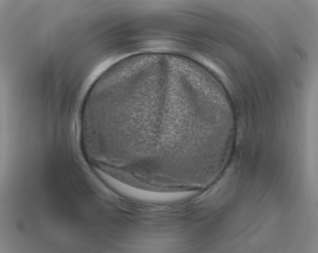 X0000114121467200910191713