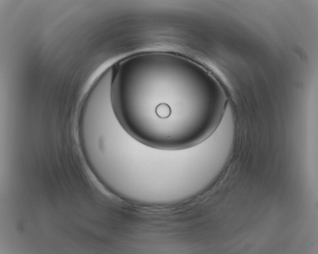 X0000114121468200910191713