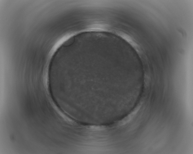 X0000114121469200910191713