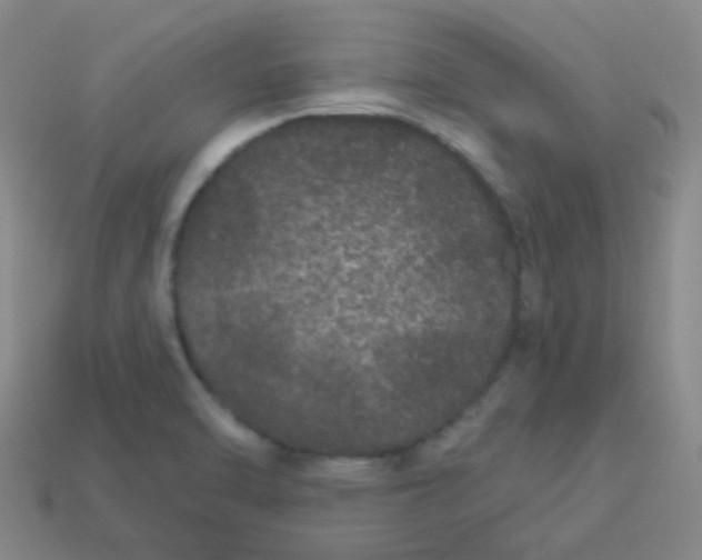 X0000114121470200910191713