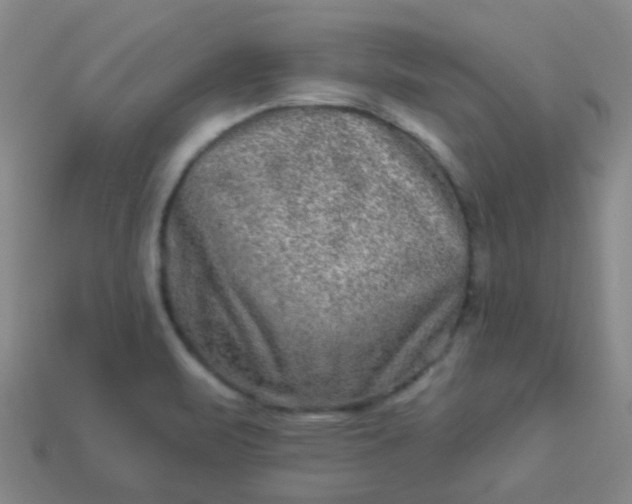 X0000114121471200910191713