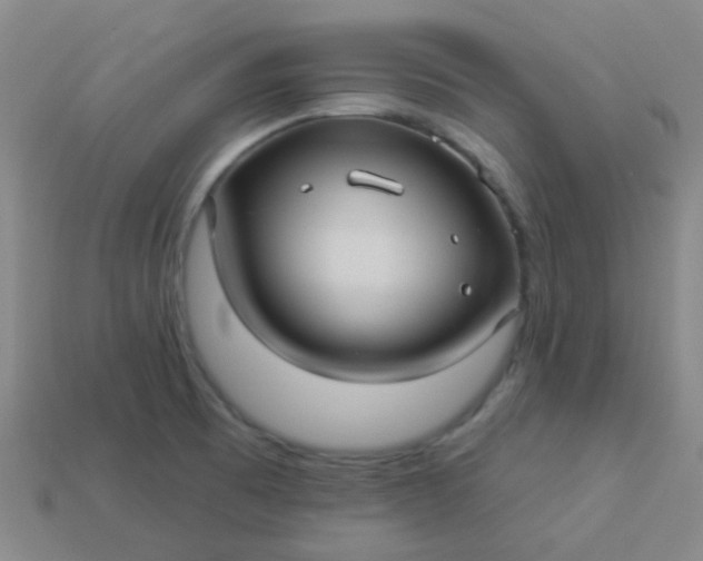 X0000114121473200910191713