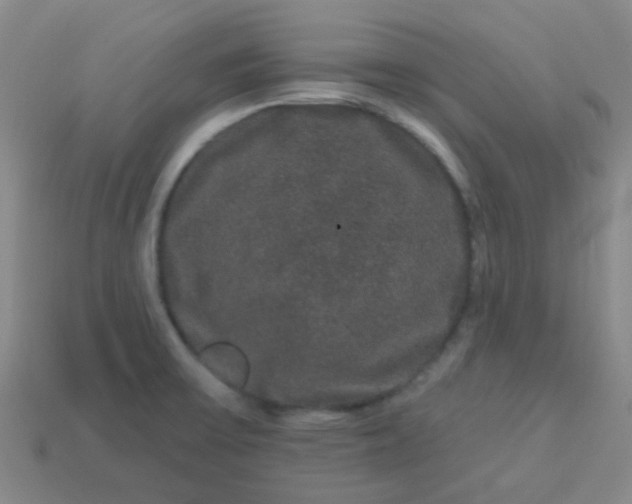 X0000114121475200910191713