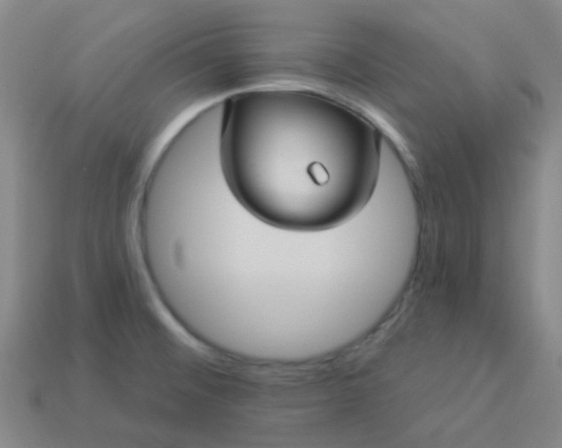 X0000114121476200910191713