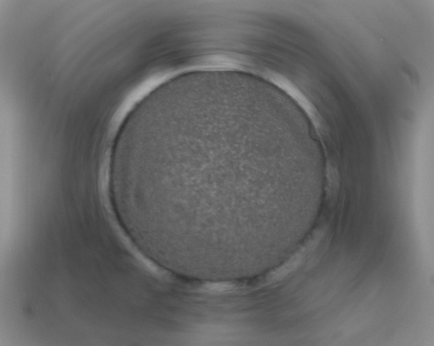 X0000114121477200910191713