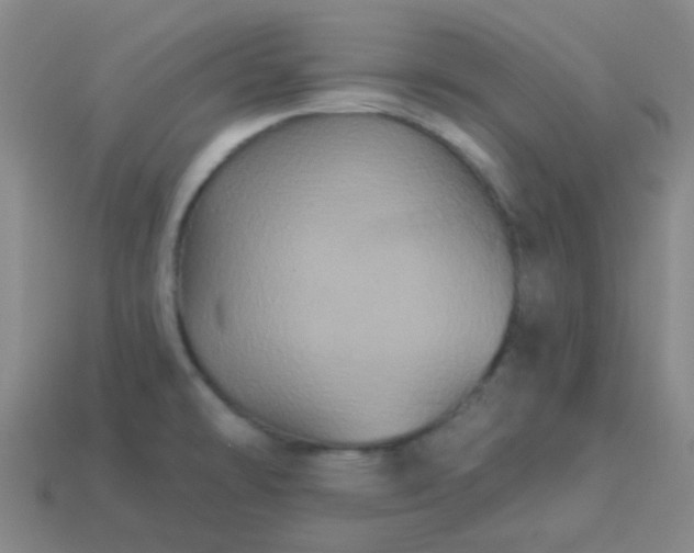 X0000114121478200910191713