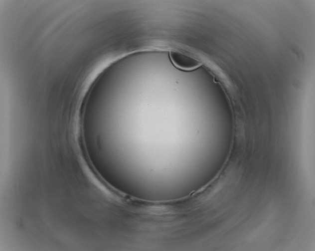 X0000114121479200910191713