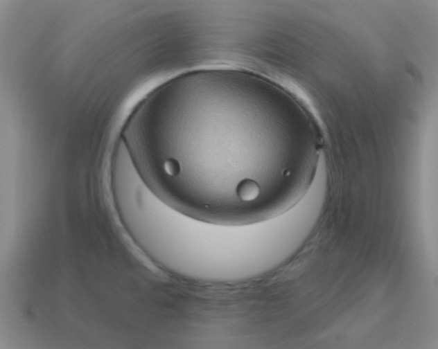 X0000114121480200910191713