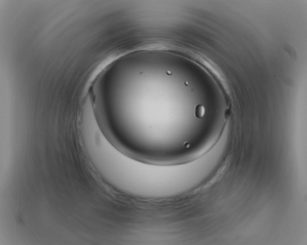 X0000114121481200910191713