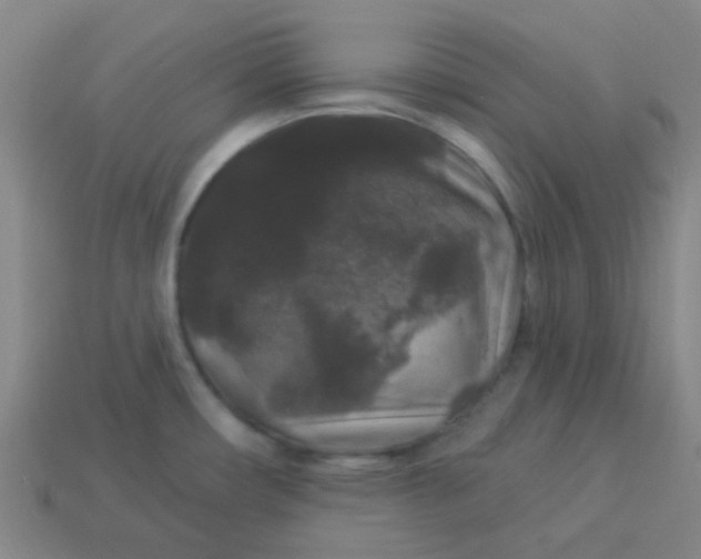 X0000114121482200910191713