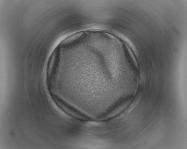 X0000114121483200910191713