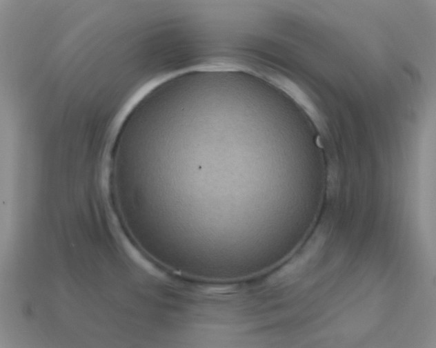 X0000114121484200910191713