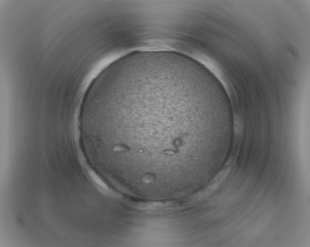 X0000114121485200910191713