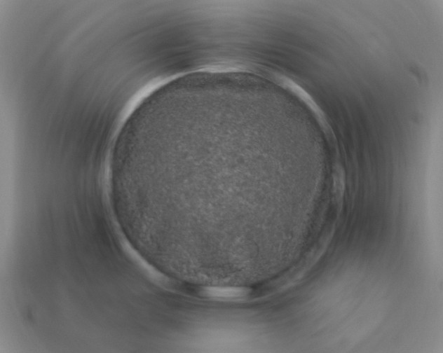 X0000114121487200910191713