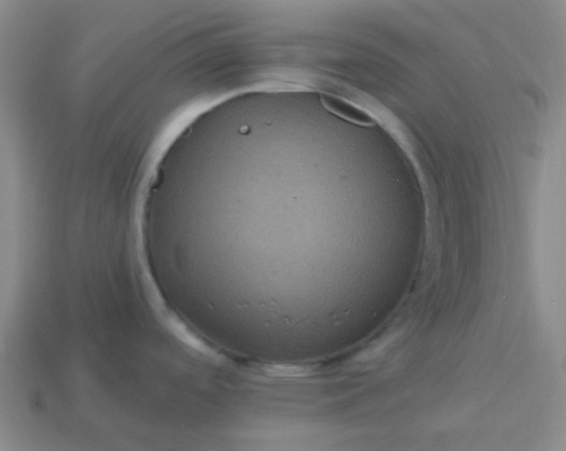 X0000114121488200910191713