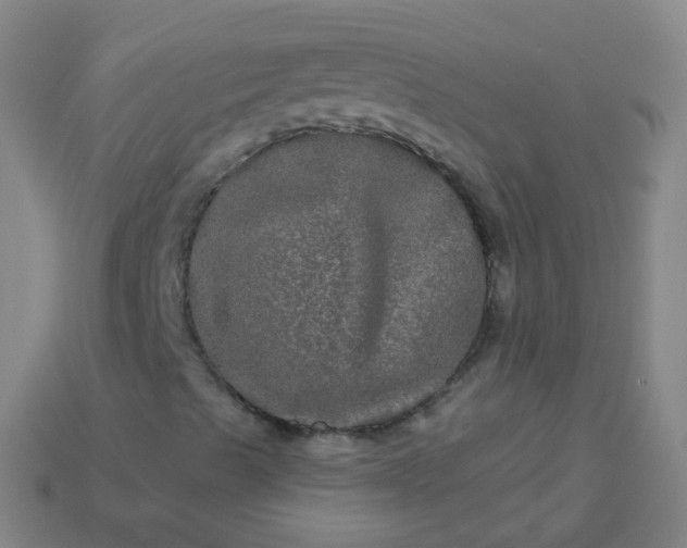 X0000114121489200910191712