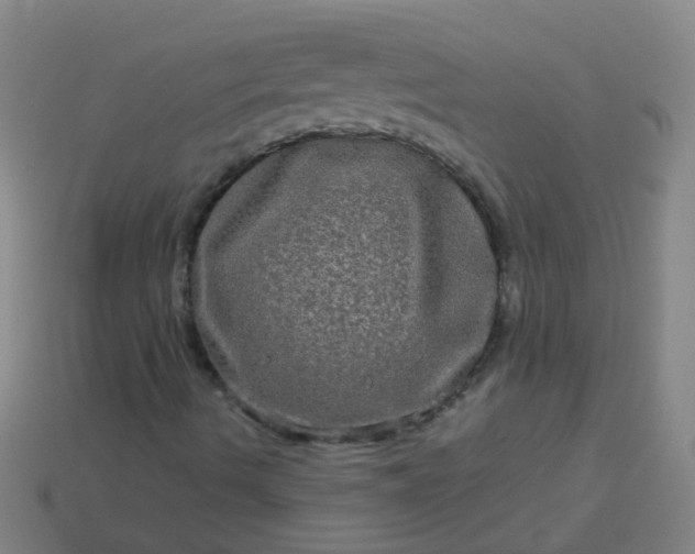 X0000114121490200910191712