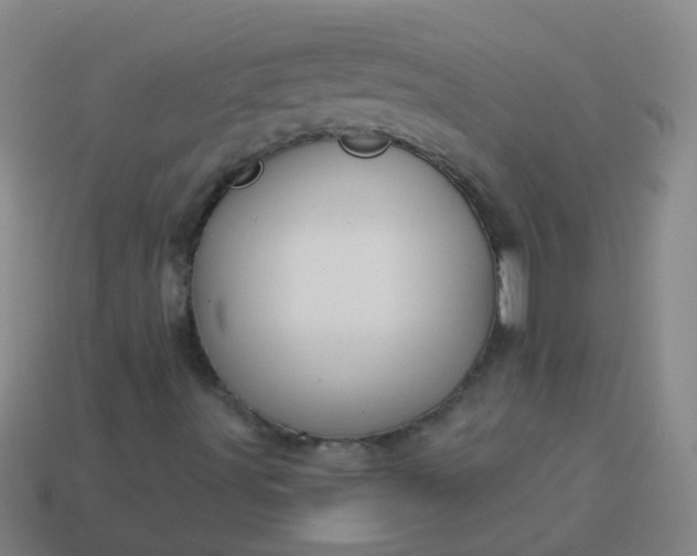 X0000114121491200910191712