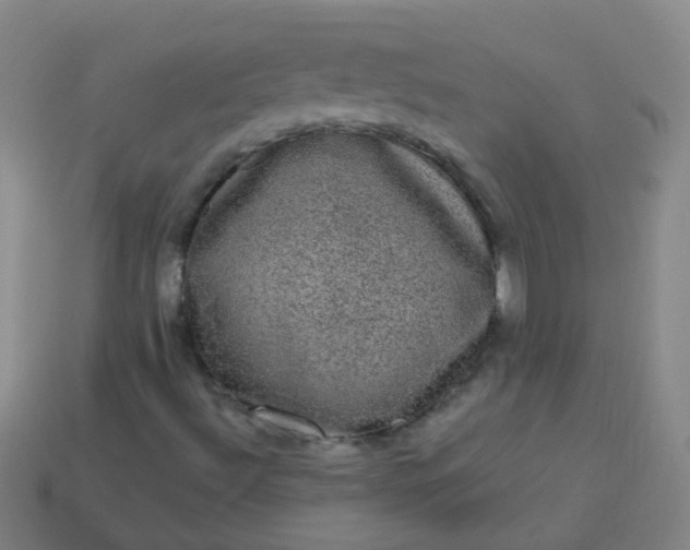 X0000114121492200910191712