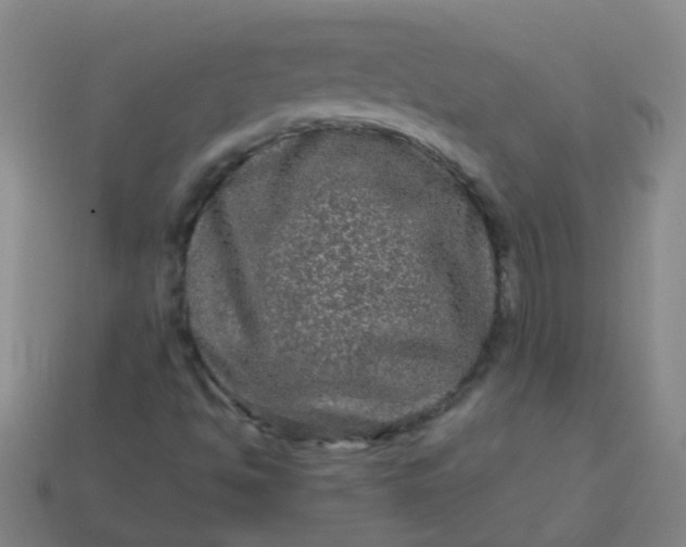 X0000114121494200910191712