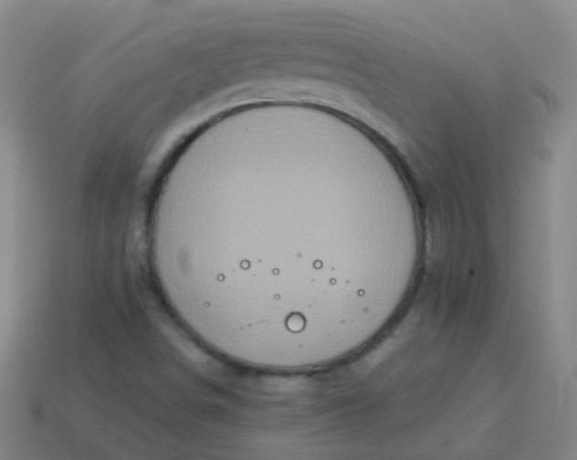 X0000114121498200910191712