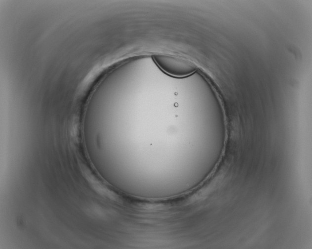 X0000114121499200910191712