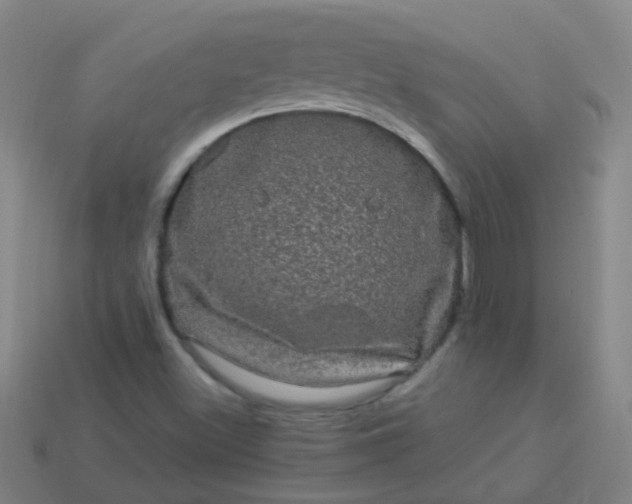 X0000114121500200910191712