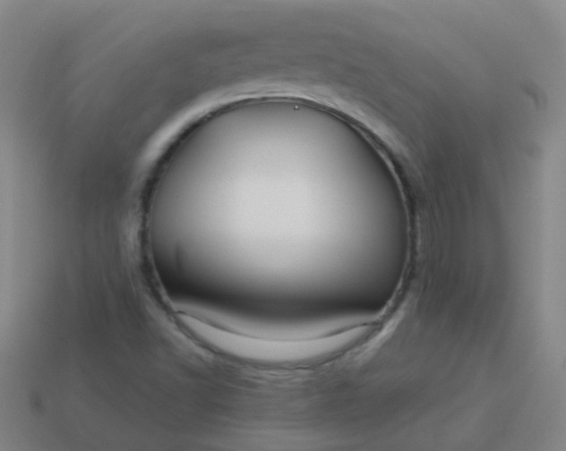 X0000114121502200910191712