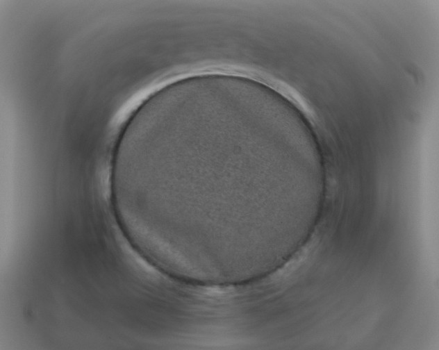 X0000114121504200910191712