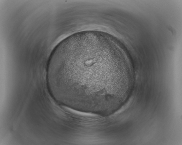 X0000114121505200910191712