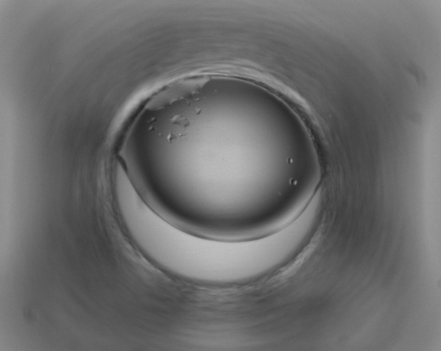 X0000114121506200910191712