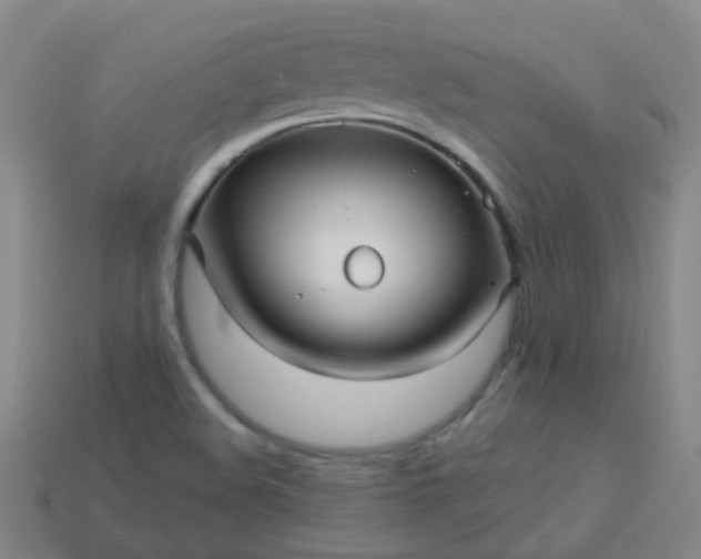 X0000114121508200910191712