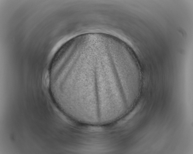 X0000114121509200910191712