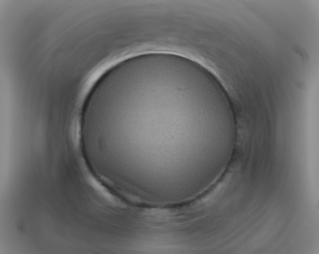 X0000114121511200910191712