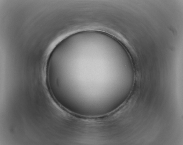 X0000114121512200910191712