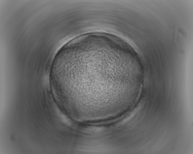 X0000114121513200910191713