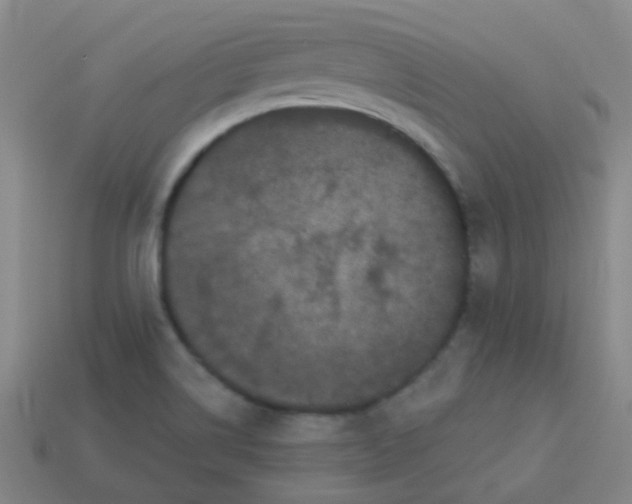 X0000114121514200910191713