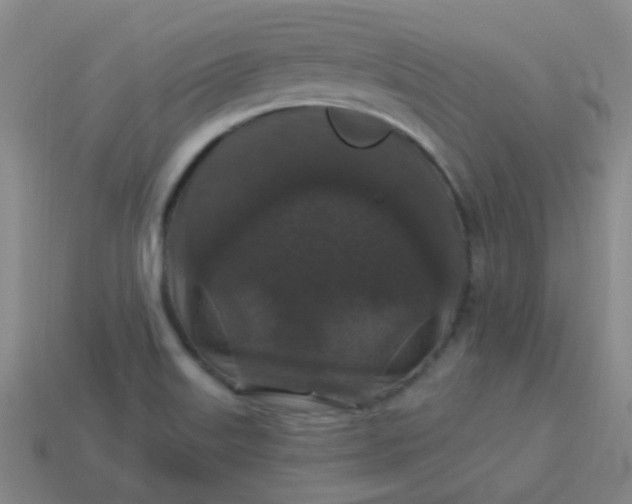 X0000114121515200910191713