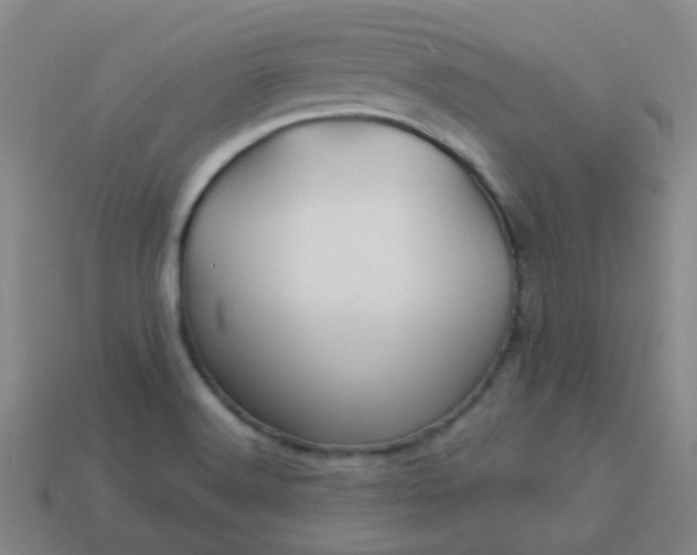 X0000114121516200910191713