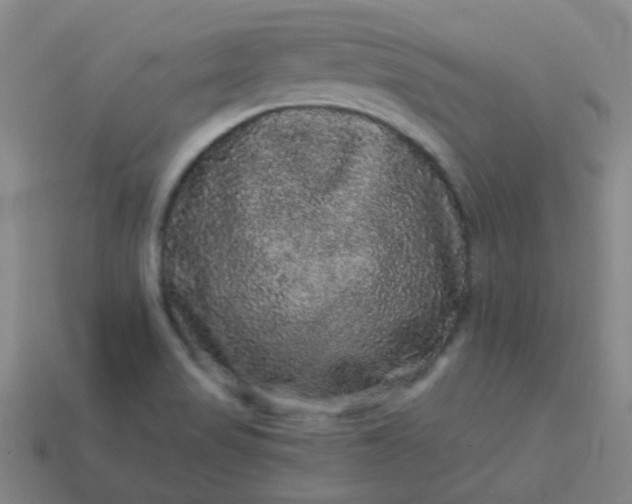 X0000114121517200910191713