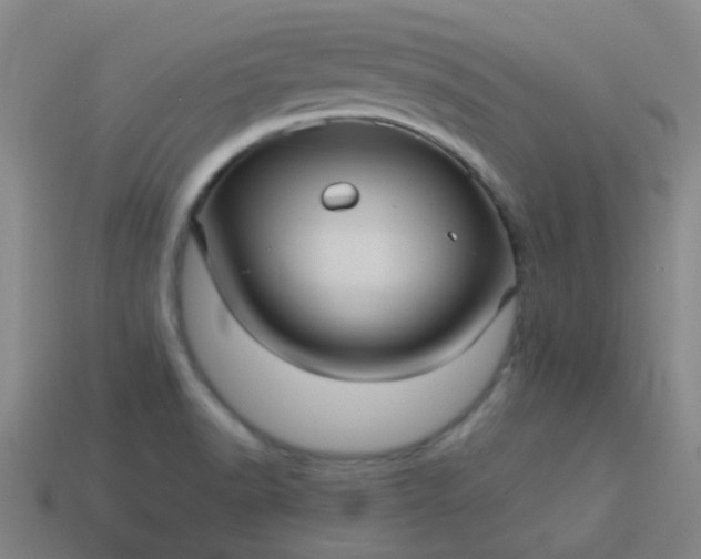 X0000114121518200910191713