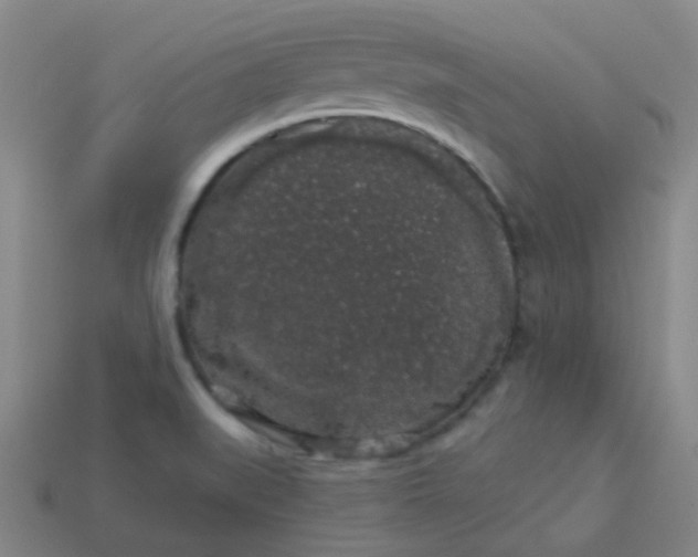 X0000114121519200910191713