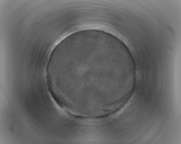 X0000114121521200910191713